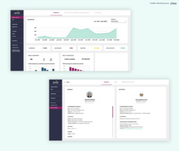 Back-office desktop Anie – gestion des stages côté entreprises et accompagnateurs